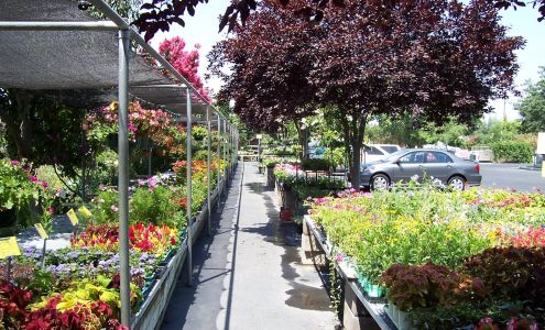 Evergreen Garden Center Inc.