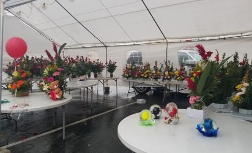 Beautiful Flowers & Party Supply Lomita CA