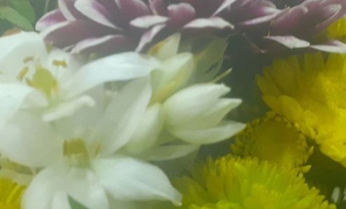 Better Choice Flower