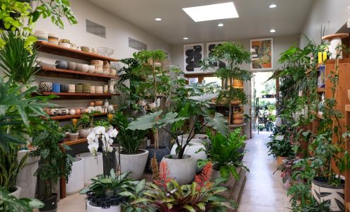 PLANT GALLERY