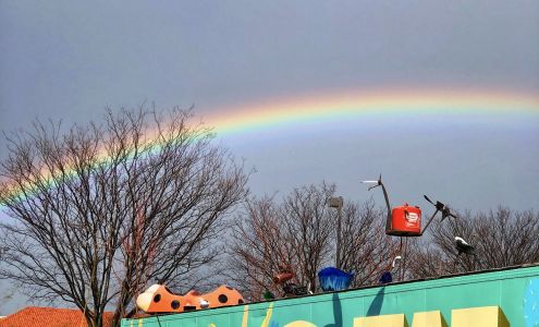 Magnolia Gift & Garden