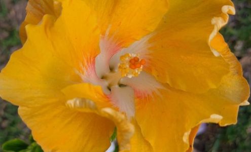 Hidden Valley Nature Arts