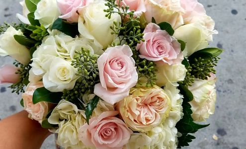 Alisol Discount & Flower Store