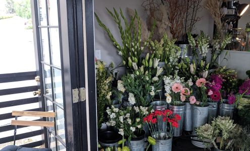 STEM Floral Company