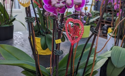 South Pacific Orchids Inc