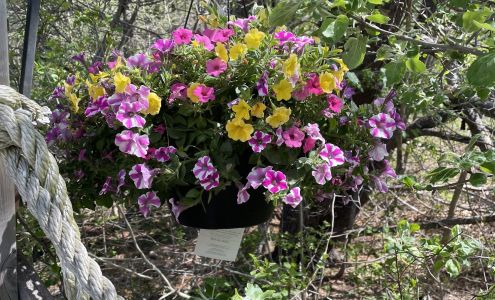 Hawkes Flowers & Gifts