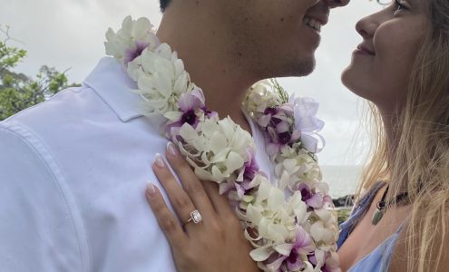 Hilo Airport Flowers