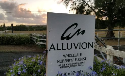 Alluvion Inc.