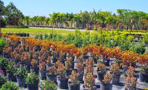 In Harmony With Nature