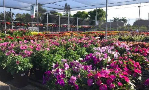 American Farms - Satellite Store