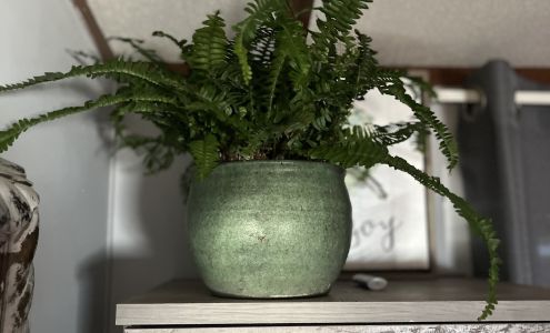 Nobles Greenhouse & Nursery