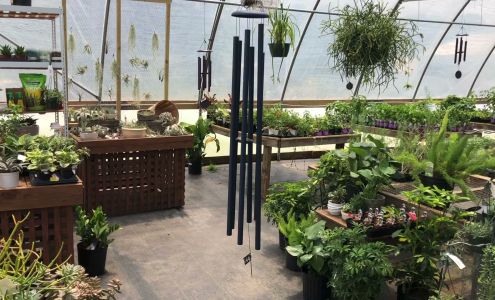 Rudy's Nursery & Garden Center