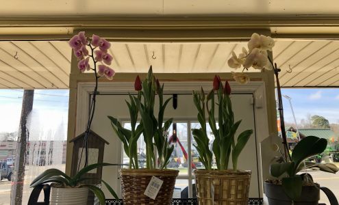 Rodney's Flower Shop