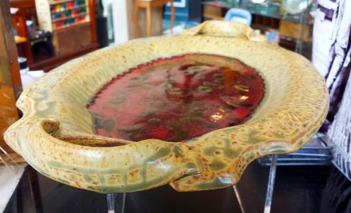 Fiddlehead at Four Corners