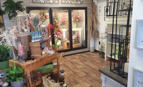 Apache Junction Flowers