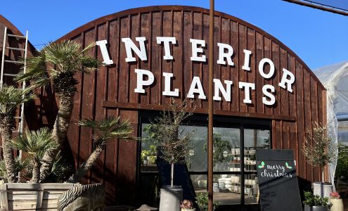 Desert Horizon Nursery