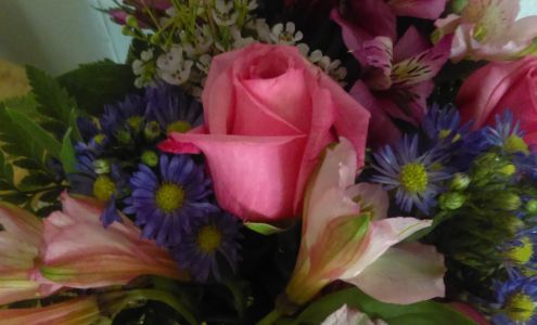 Norman Florist & Greenhouses, Inc.