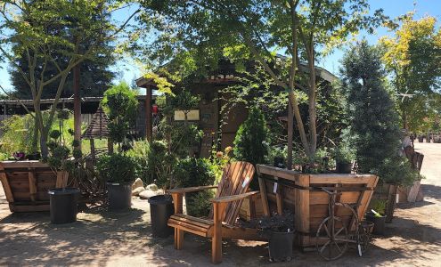 Stepping Stone Nursery