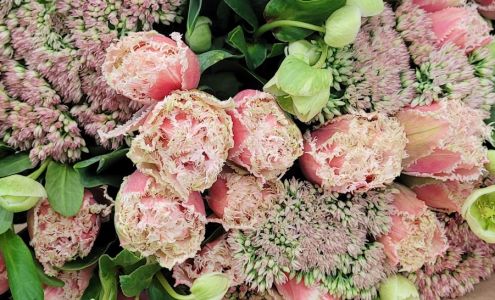 Flowers Wholesale