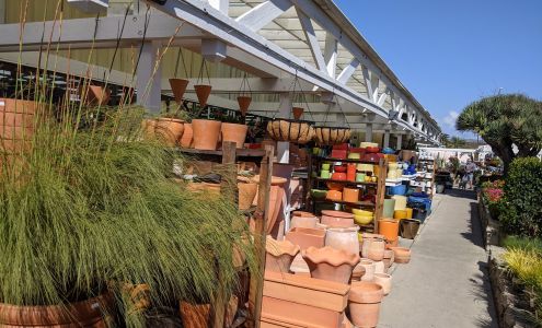 Dana Point Nursery