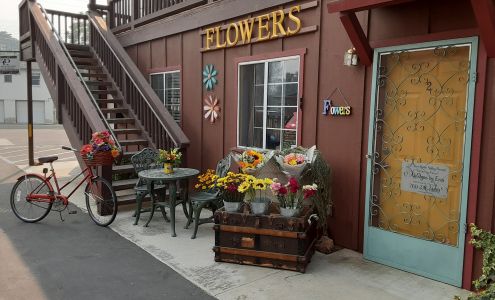 Designs by Erin Kernville