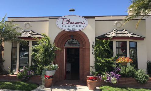 Bloomers