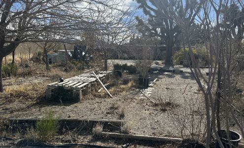 Unique Landscape & Cactus