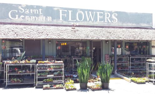 St. Germain Flowers