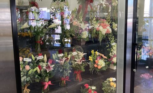 Dottie's Flowers & Plants