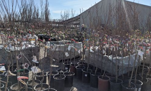 Lemuria Nursery