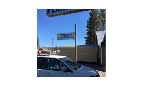 Sunshine Flowers Chester