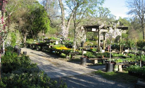 Bald Mountain Nursery Browns Valley