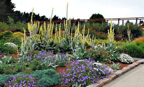 Humboldt Botanical Garden