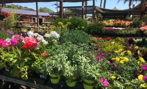 Far West Nursery