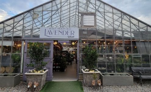 Half Moon Bay Lavender