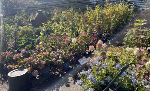 Bongard's Treescape Nursery