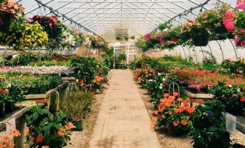 Madison Flower Shop & Garden Center