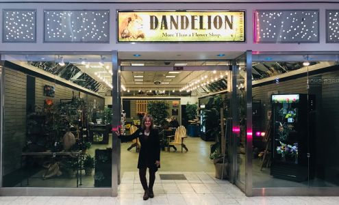 Dandelion Chapel Hills