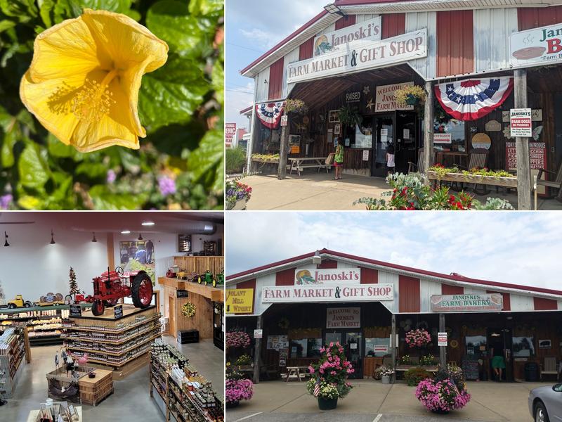 Janoski's Farm and Greenhouse