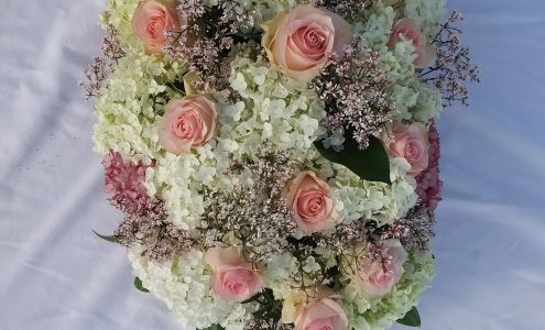 Sandy Hill Greenhouses