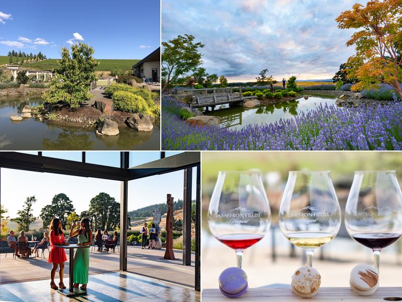 Saffron Fields Vineyard
