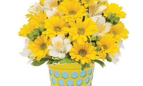 The Perfect Blossoms