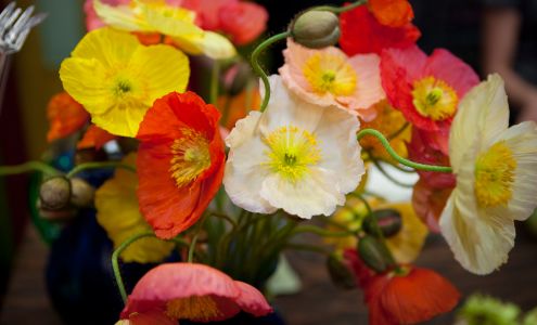 Zaisers Florist & Greenhouse