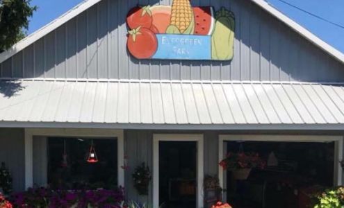 Evergreen Farm - Amy's Greenhouse