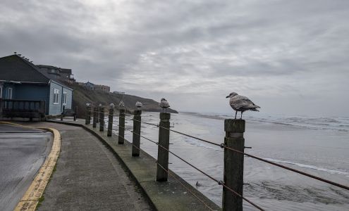 Yaquina Art Association