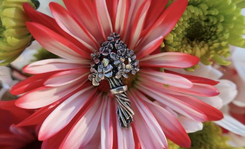 LapelPinPlanet - Jim Clift Design (Lapel & Push Pins)