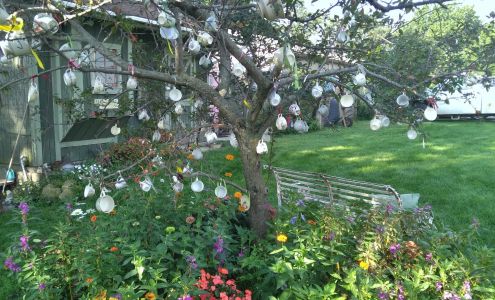 Miss Effie's Country Flowers Donahue