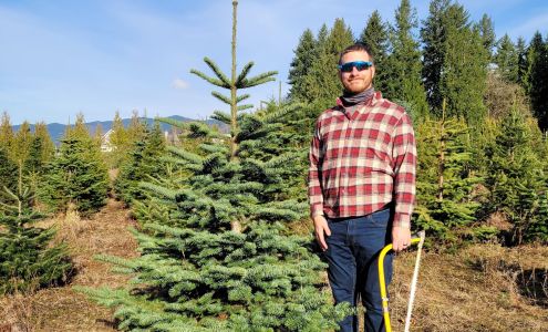 Mountain View Tree Farm