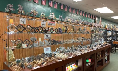 Jurassic World Fossils Minerals