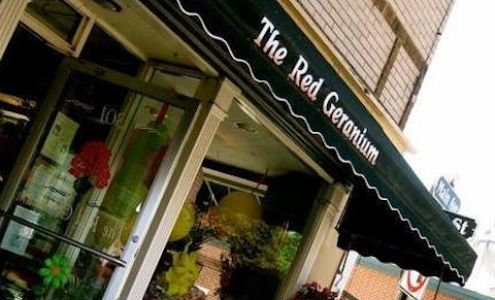 The Red Geranium